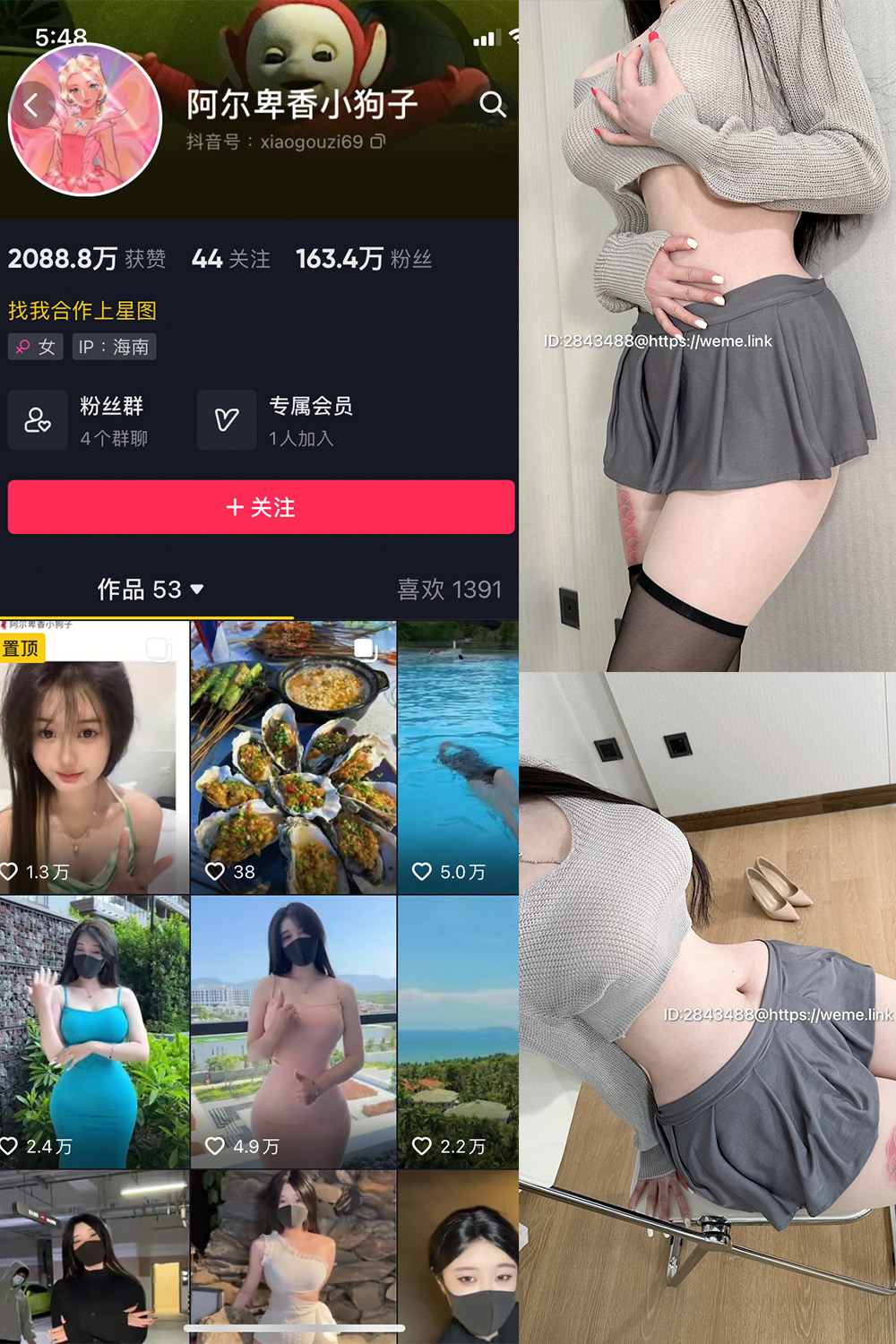 抖音 阿尔卑香小狗子 微密圈  NO.001期 【23P1V