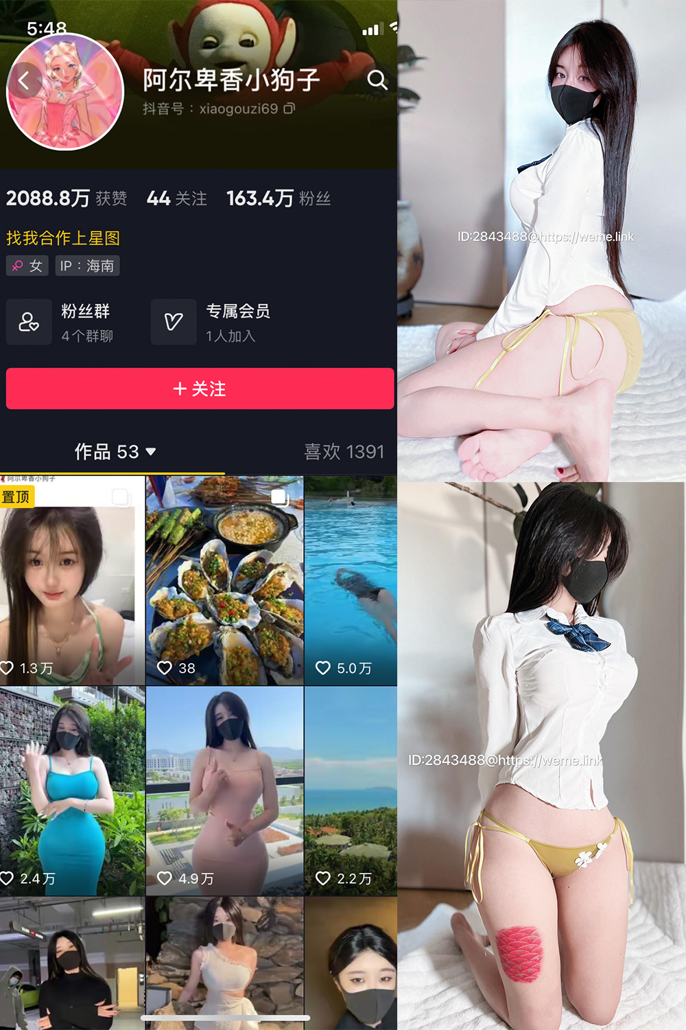 抖音 阿尔卑香小狗子 微密圈  NO.010期 【39P】最