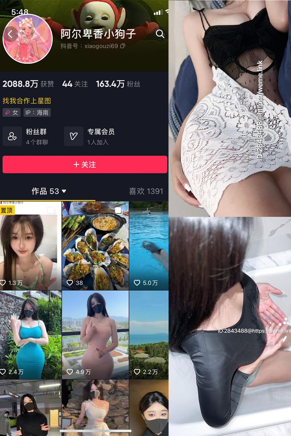 抖音 阿尔卑香小狗子 微密圈  NO.011期 【36P1V