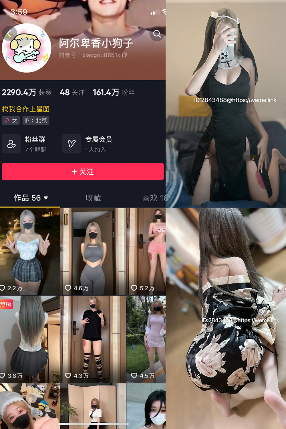 抖音 阿尔卑香小狗子 微密圈  NO.014期 【54P2V