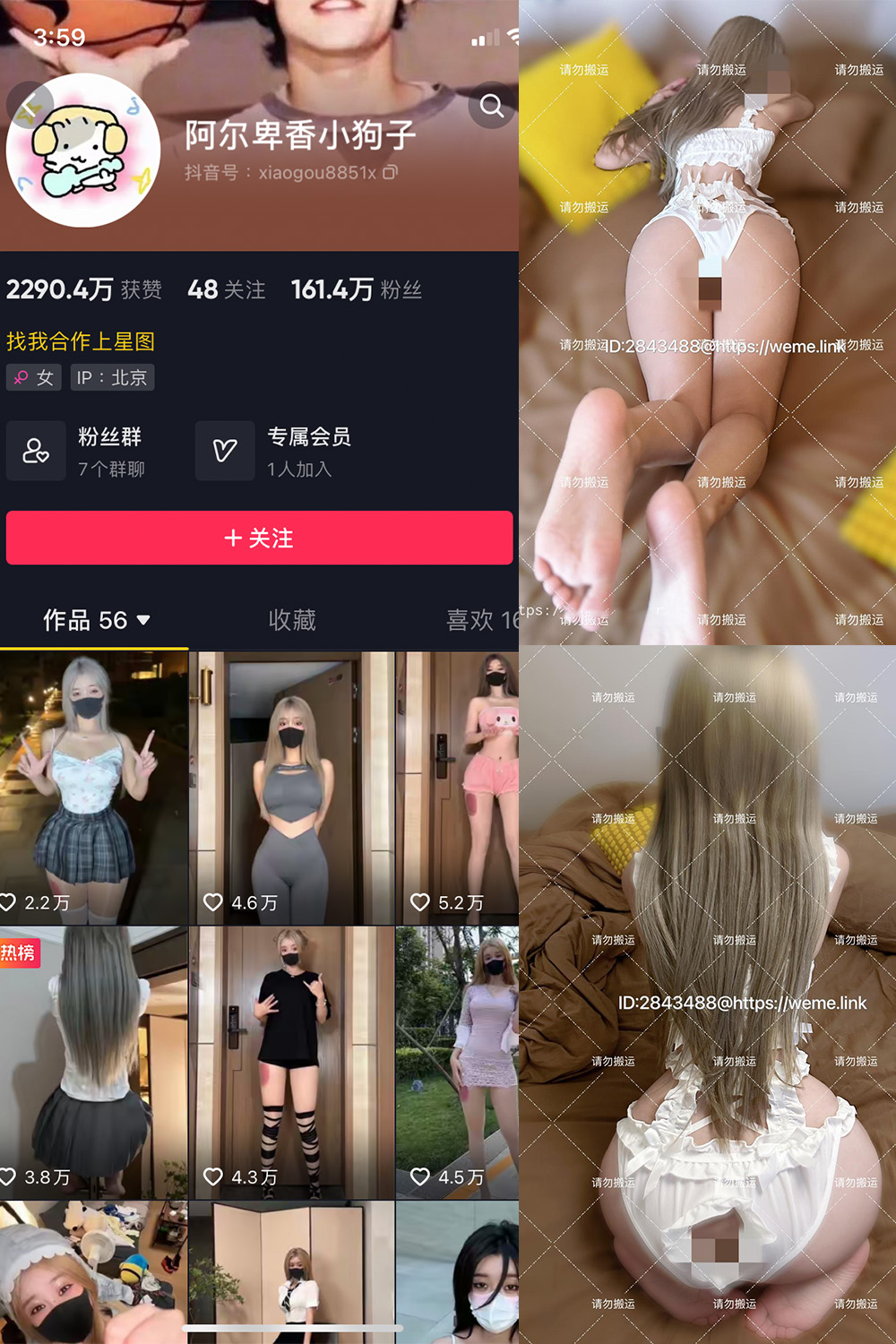 抖音 阿尔卑香小狗子 微密圈  NO.018期 【16P1V