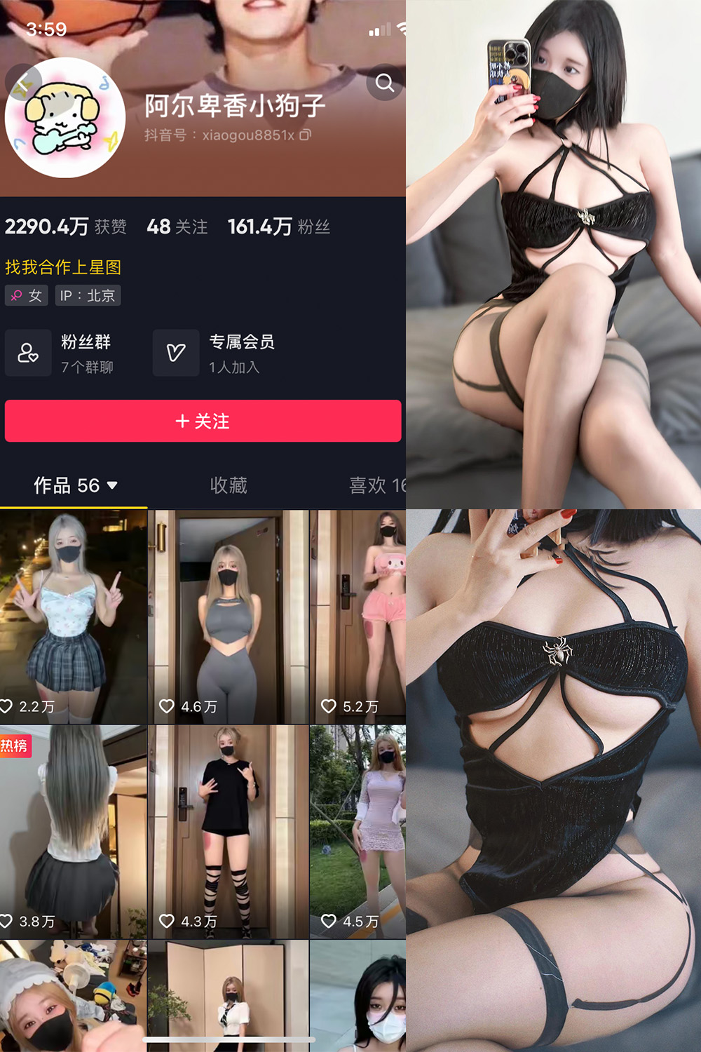 抖音 阿尔卑香小狗子 微密圈  NO.019期 【14P1V