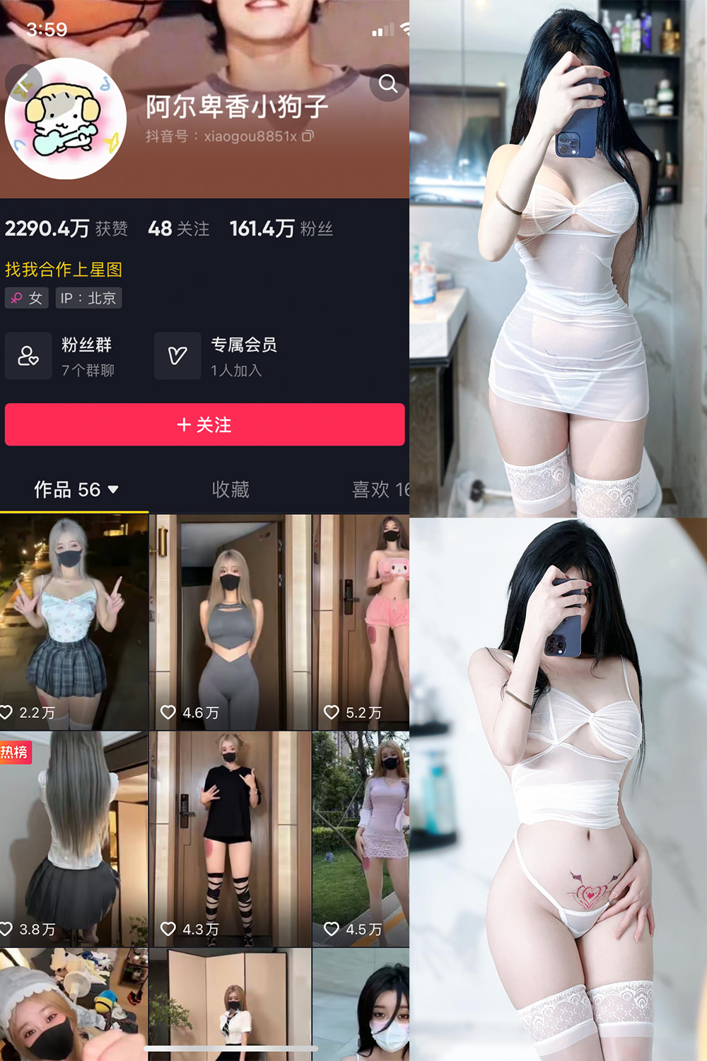 抖音 阿尔卑香小狗子 微密圈  NO.022期 【9P】最新