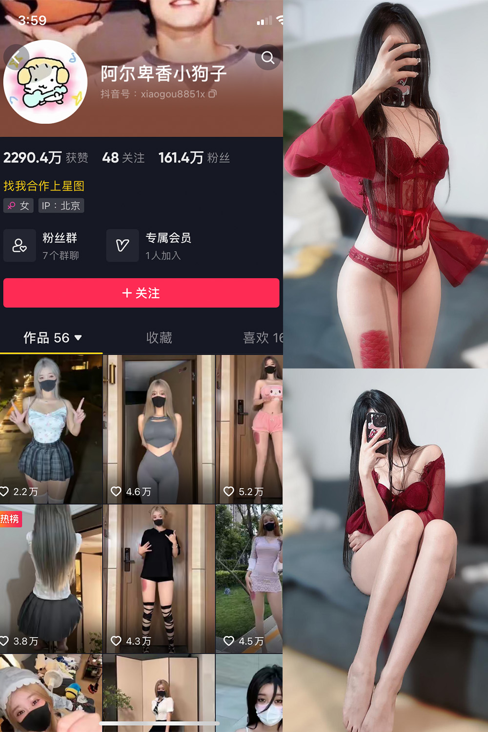 抖音 阿尔卑香小狗子 微密圈  NO.025期 【10P2V