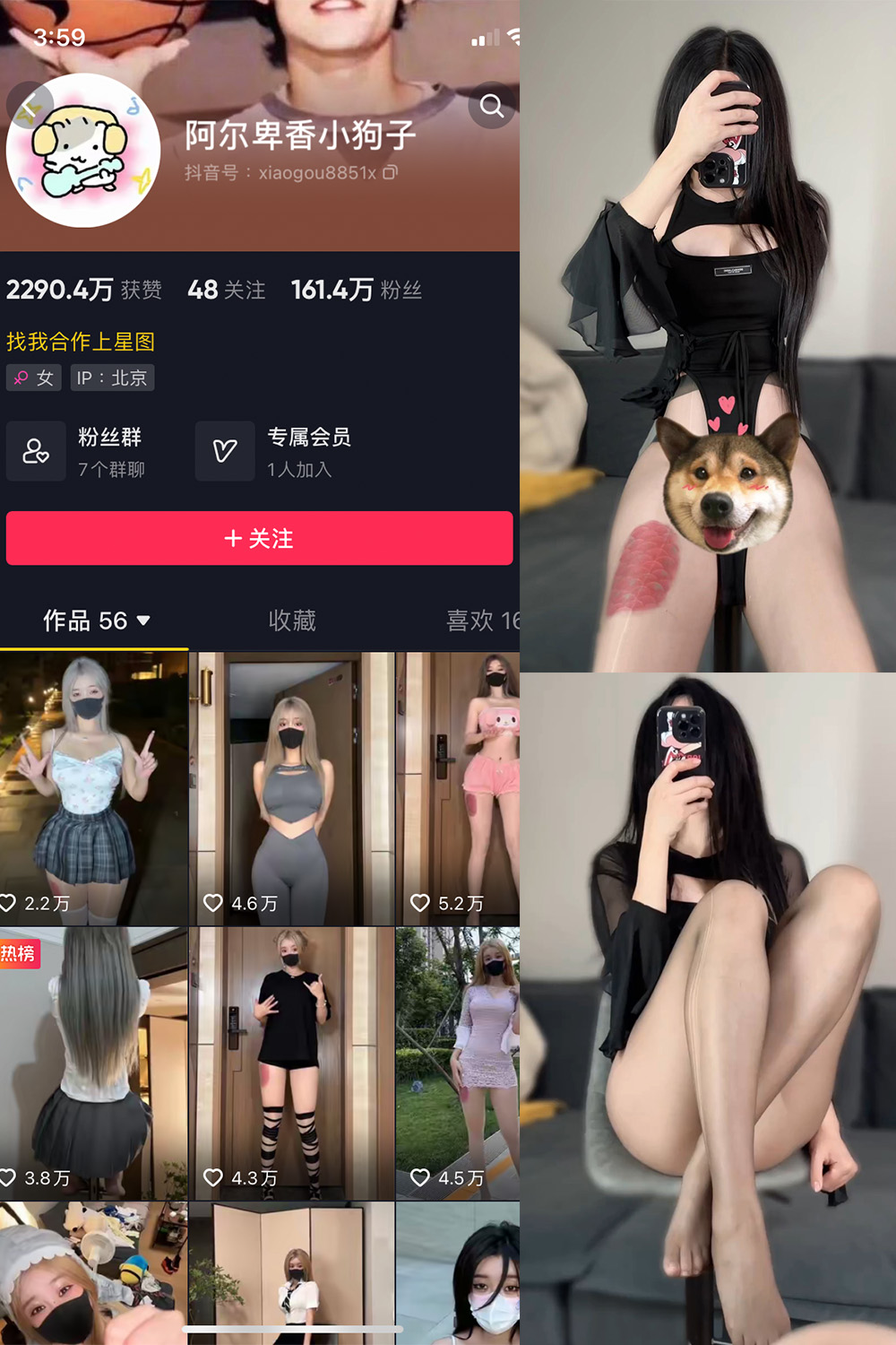 抖音 阿尔卑香小狗子 微密圈  NO.026期 【8P1V】