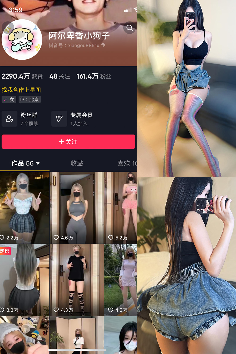 抖音 阿尔卑香小狗子 微密圈  NO.027期 【7P】最新