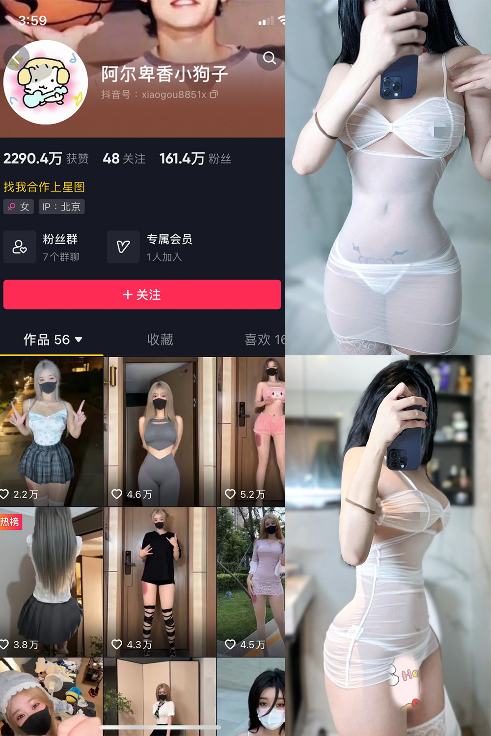 抖音 阿尔卑香小狗子 微密圈  NO.028期 【33P】最