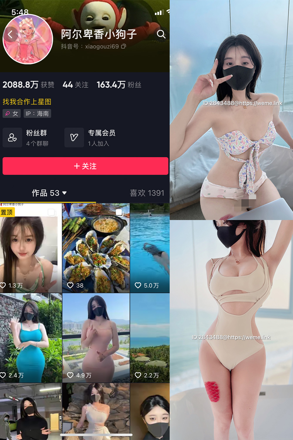 抖音 阿尔卑香小狗子 微密圈  NO.003期 【39P3V