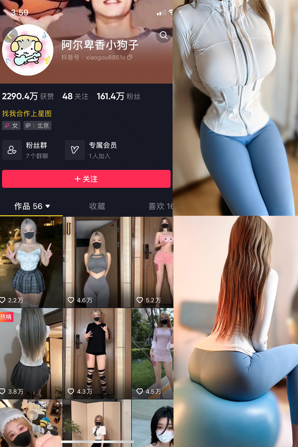 抖音 阿尔卑香小狗子 微密圈  NO.029期 【30P】最