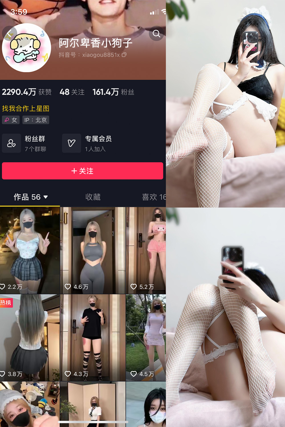 抖音 阿尔卑香小狗子 微密圈  NO.033期 【19P】最