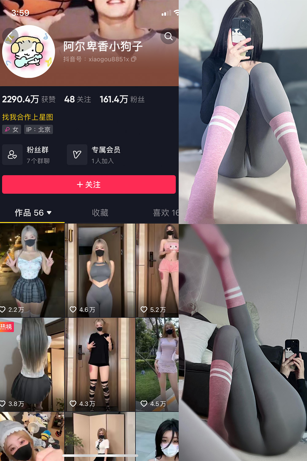 抖音 阿尔卑香小狗子 微密圈  NO.038期 【10P】最