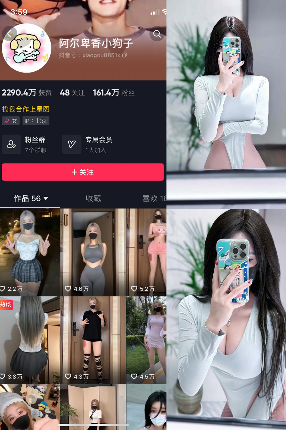 抖音 阿尔卑香小狗子 微密圈  NO.041期 【10P2V