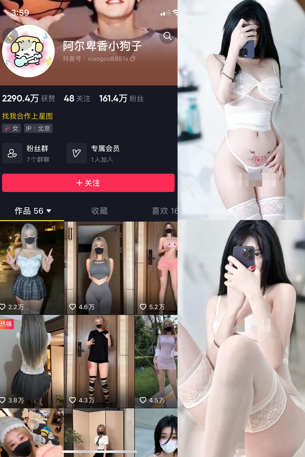 抖音 阿尔卑香小狗子 微密圈  NO.043期 【18P1V