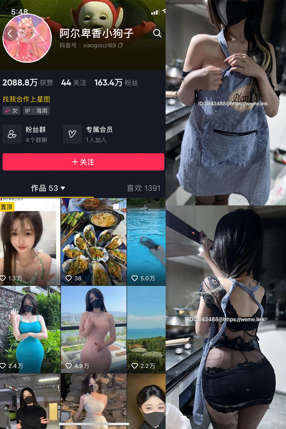 抖音 阿尔卑香小狗子 微密圈  NO.009期 【37P】最